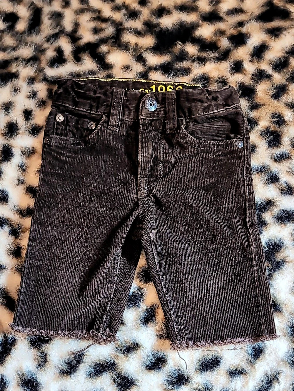babyGap Straight Corduroy Shorts Brown Boys 12-18 Months